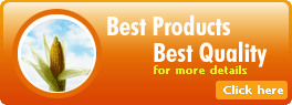 Best Products