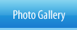 Photo Gallery